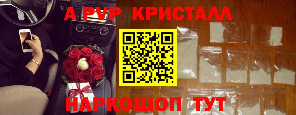 A-PVP СК КРИС Сорочинск