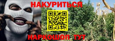 индика Пыть-Ях