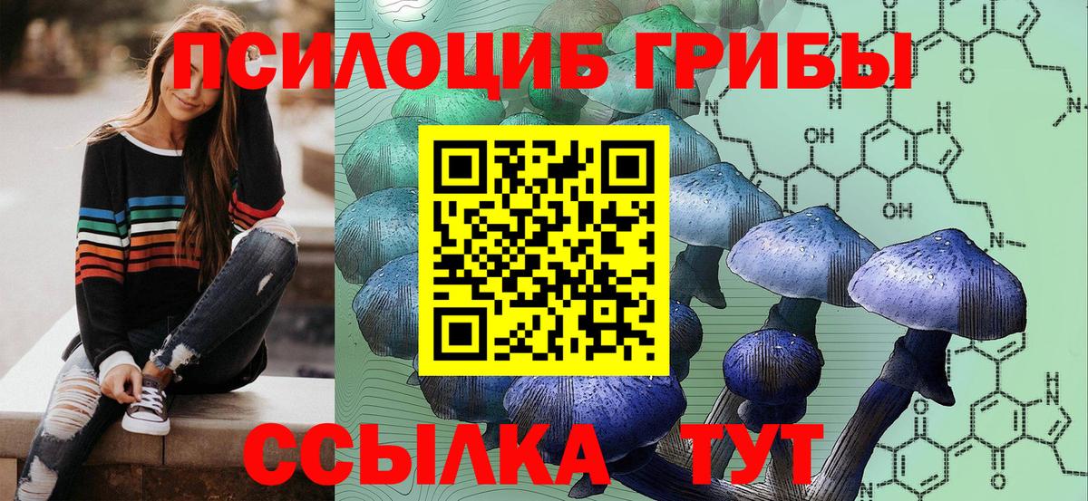 Сорочинск  Галлюциногенные грибы Cubensis  Вход с VPN 